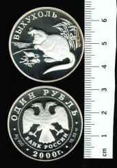 Russland: 1 Rubel 2000, Bisamrüssler, 17,28gr/900 Silber in Dose (weltweit nur 3.000 x), im Auftrag 