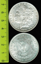 USA: Dollar, 1881 'O'  -Morgan-, Adler 'Amerika im Krieg' / Liberty-Kopf: Typ 'Morgan' 