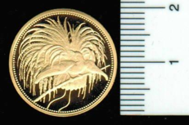 Deutsch-Neuguinea: Paradiesvogel, 20 Mark, 1895 (NP*2003), 3,47 g/585 Gold 