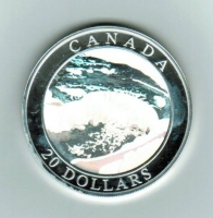 20 Dollars 2003, Niagara-Fälle in Farbe, Silber/Bunt 