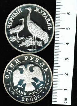 Russland: 1 Rubel 2000, Y*719: Mönchskraniche / Wertseite, weltweit nur 3.000 Exemplare, 17,28gr/900Silber in Dose 