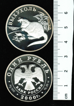 Russland: 1 Rubel 2000, Bisamrüssler, 17,28gr/900 Silber in Dose (weltweit nur 3.000 x), im Auftrag 